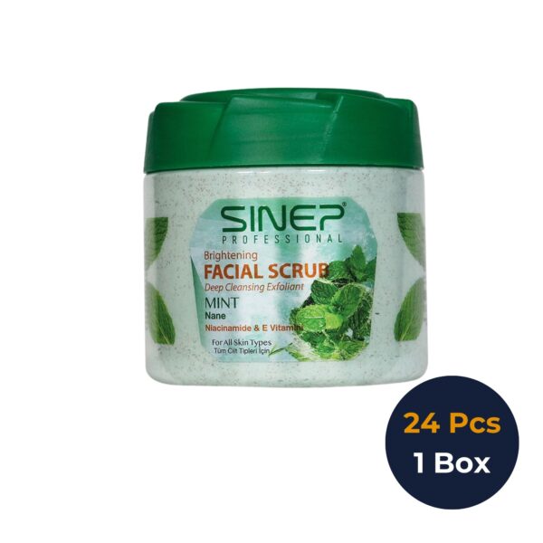 Gezichts- & Lichaamscrub Munt – 400ml – 1 Doos × 24 Stuks
